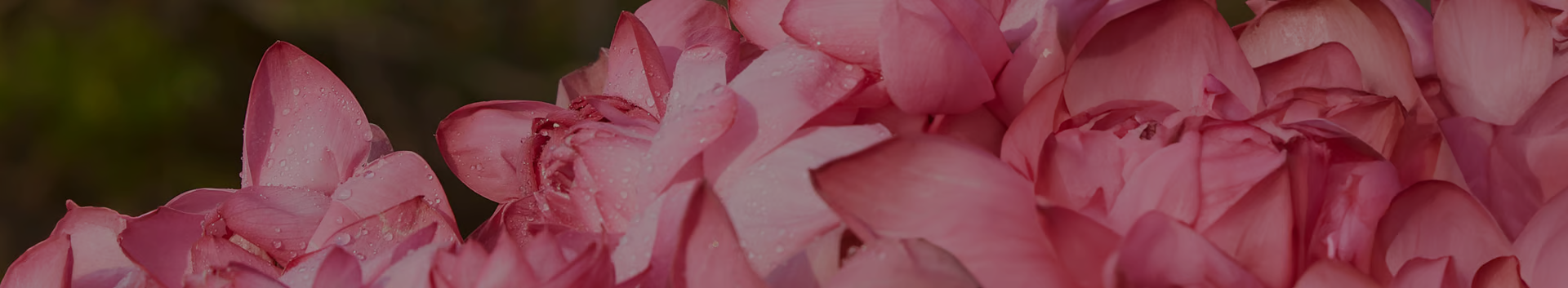 Ayurvedic Glossary